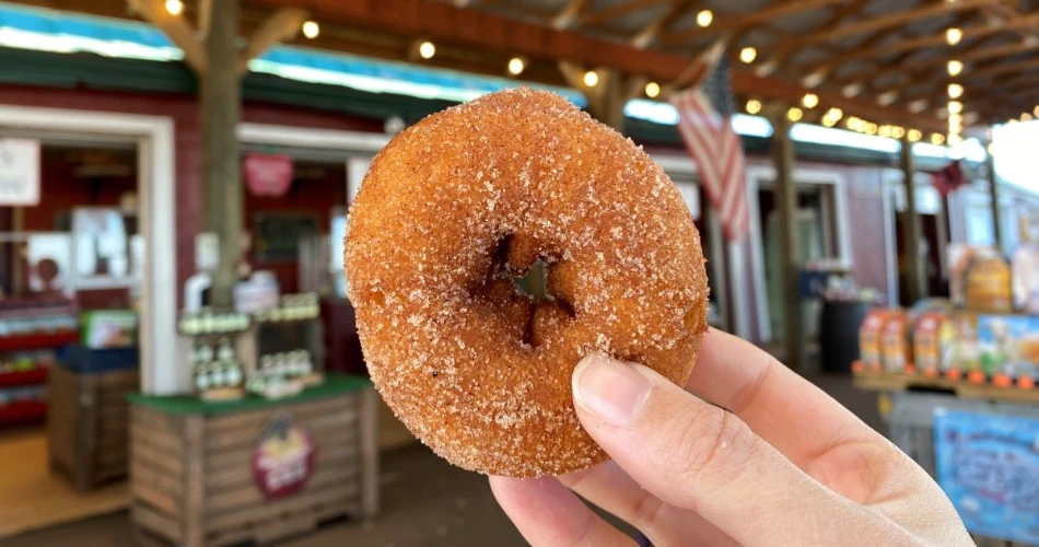 Top Things to Do in Hampton Falls: A Complete Visitor’s Guide